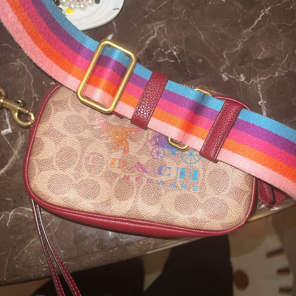 Coach Multicolor Crossbody Bag
